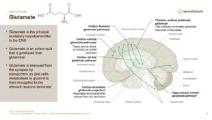 Mental Health – Fundamentals of Neurobiology – slide 14